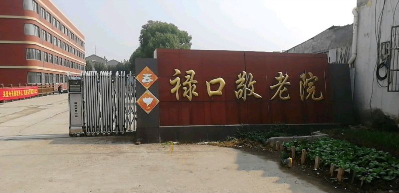 养老院,综合养老院